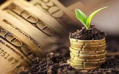 期货直播揭秘：常见套路解析