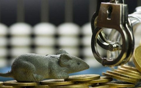 期货直播吧：热门行情实时解读